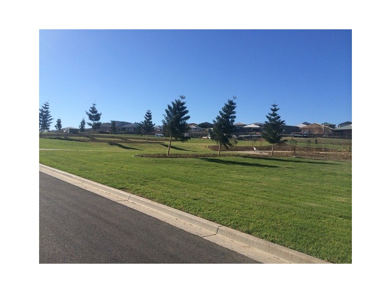 6 Cubitt Road, Flinders NSW 2529