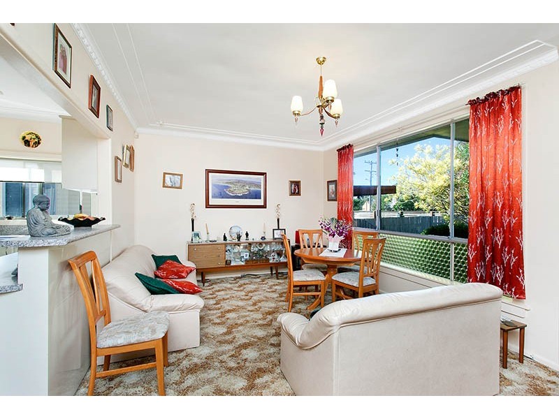 17 Bass Street, Barrack Heights NSW 2528