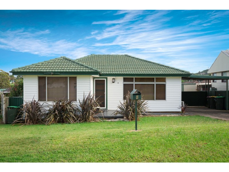 6 Paterson Place, Barrack Heights NSW 2528