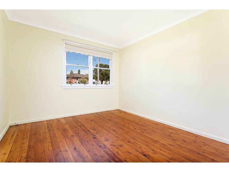 18 Anthony Street, Lake Illawarra NSW 2528