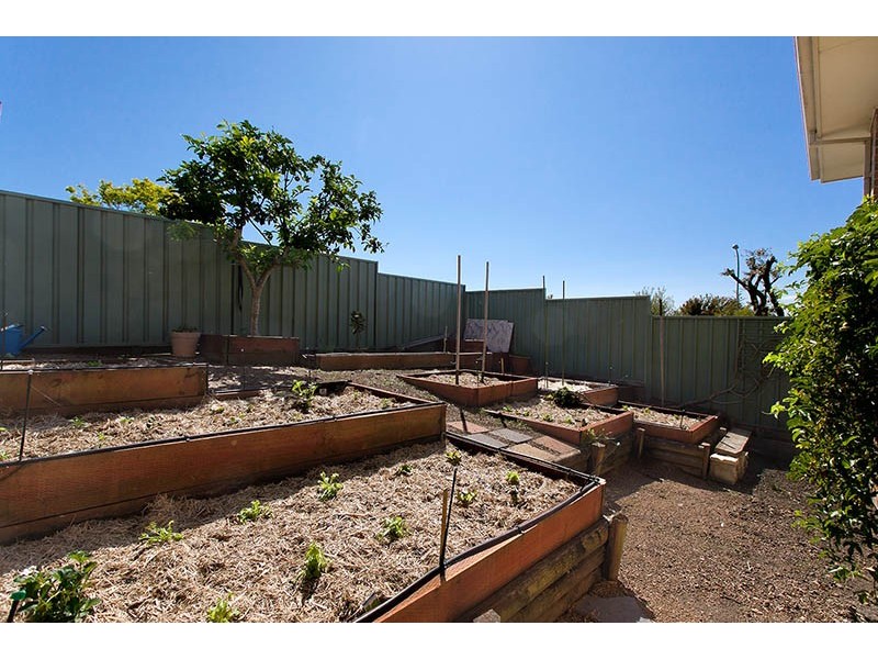 2 The Grove, Shellharbour NSW 2529