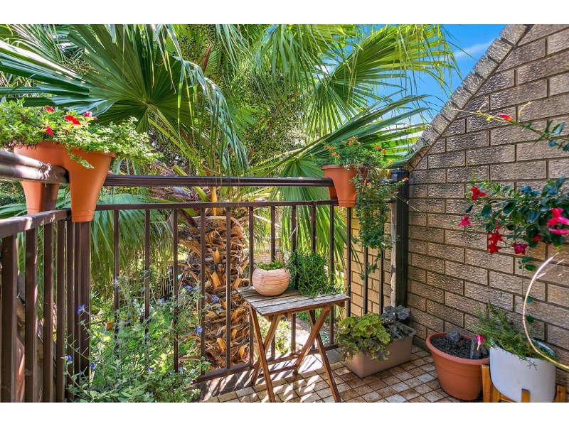 3/2 Blackbutt Way, Barrack Heights NSW 2528