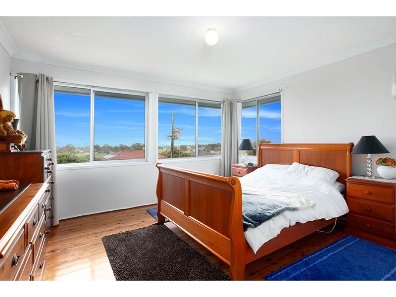 24 Denison Avenue, Barrack Heights NSW 2528