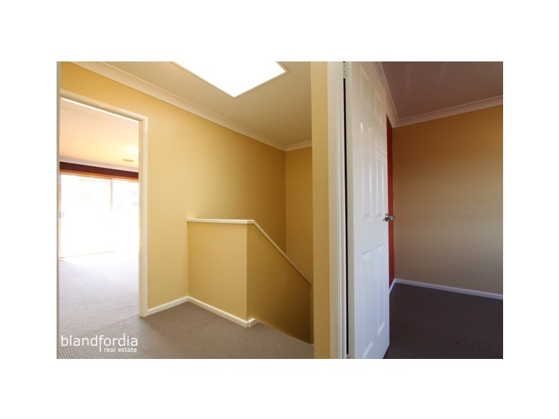 12/3 Heard Street, Mawson ACT 2607