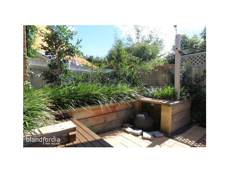 12/3 Heard Street, Mawson ACT 2607