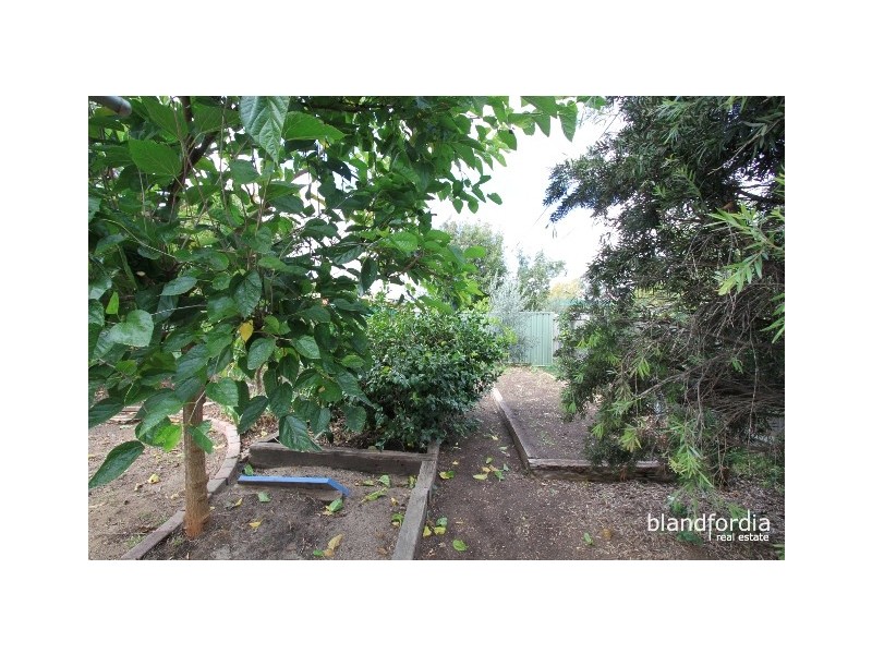 17 Kerferd Street, Watson ACT 2602