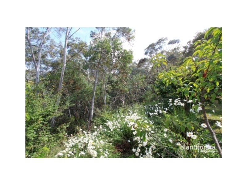 1392 Alpine Way, Crackenback NSW 2627