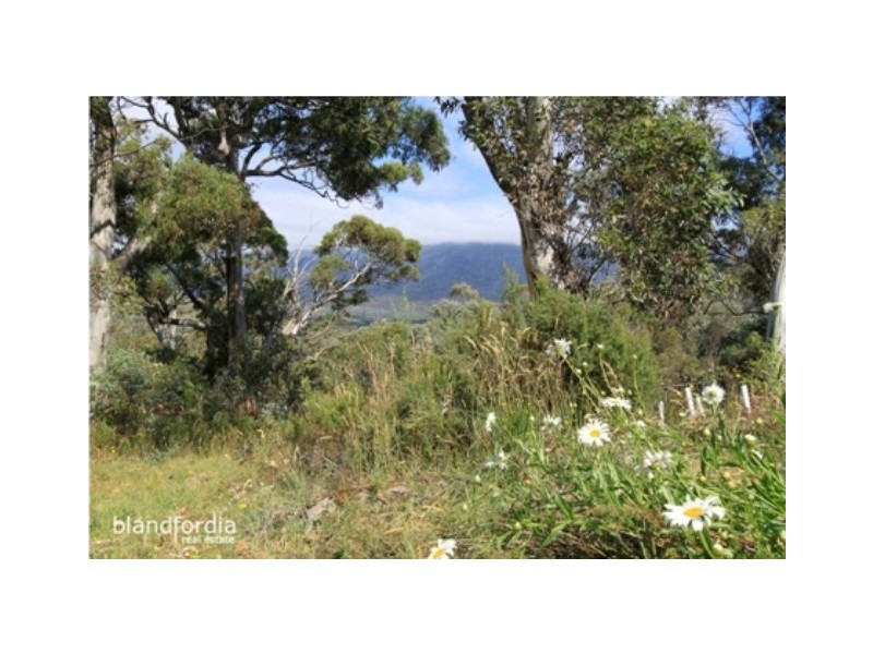 1392 Alpine Way, Crackenback NSW 2627