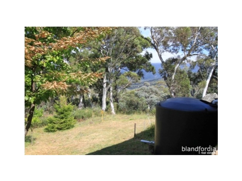 1392 Alpine Way, Crackenback NSW 2627