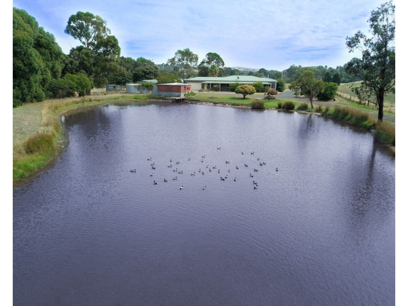 10 Broadford-Wandong Road, Wandong VIC 3758