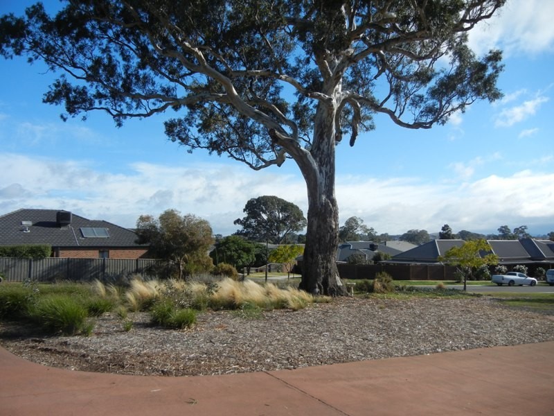 11 Mathilde Place, Doreen VIC 3754
