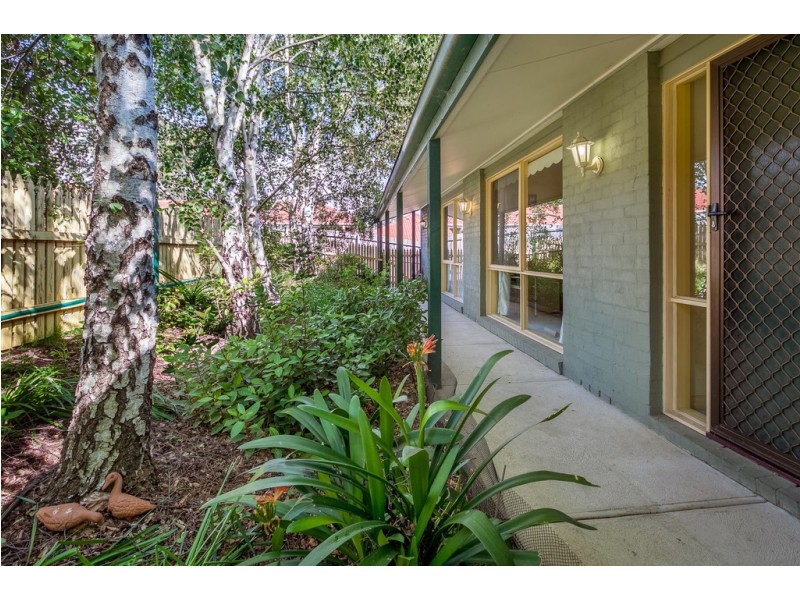 Briar Hill VIC 3088