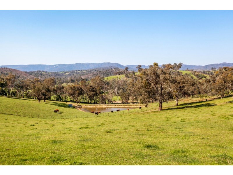 65 Mittons Bridge Road, St Andrews VIC 3761