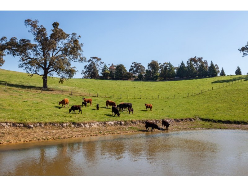 65 Mittons Bridge Road, St Andrews VIC 3761