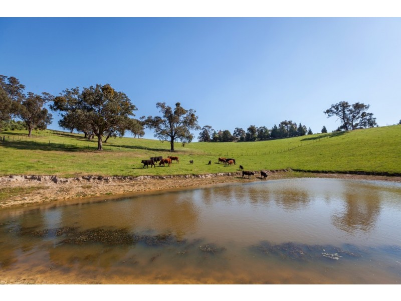 65 Mittons Bridge Road, St Andrews VIC 3761