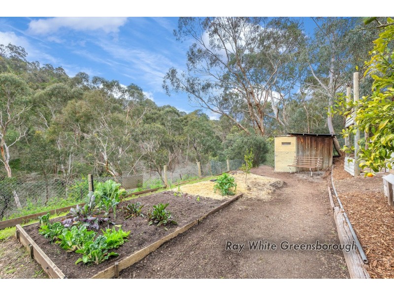 19 Palpera Terrace, Greensborough VIC 3088