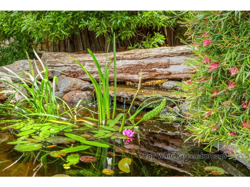 55 Everleigh Drive, Diamond Creek VIC 3089