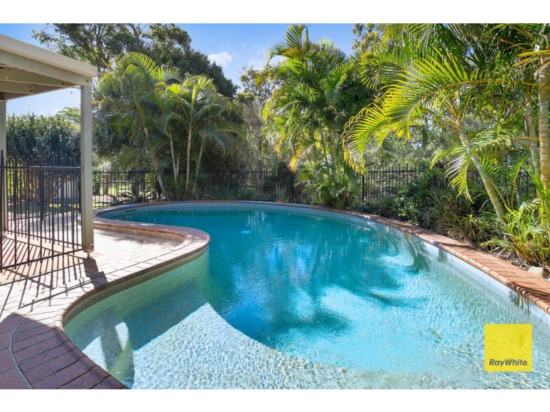 52 Hanover Drive, Alexandra Hills QLD 4161
