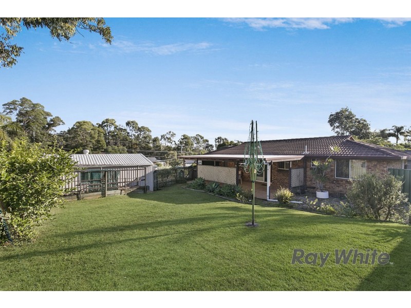 3 Workington Street, Alexandra Hills QLD 4161