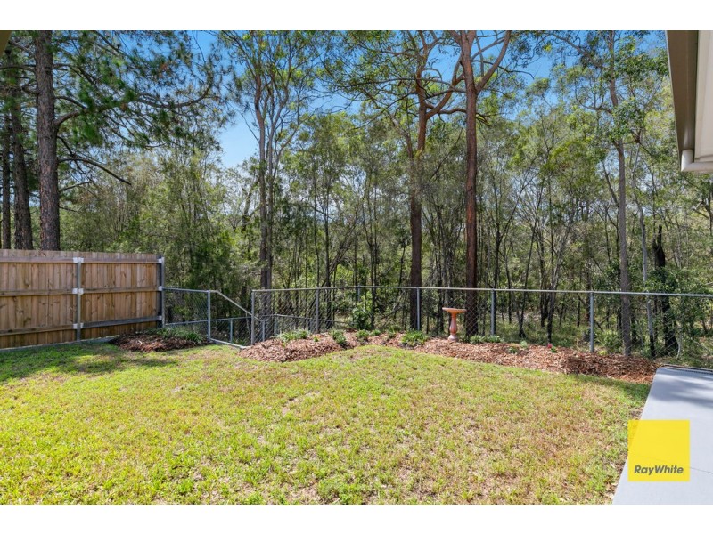 7 Water Lily Drive, Capalaba QLD 4157