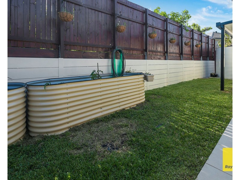 16 Kidman Circuit, Thornlands QLD 4164