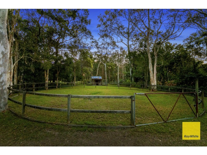 16 Firtree Street, Capalaba QLD 4157