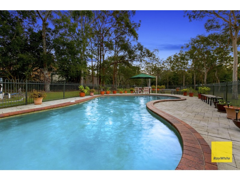 16 Firtree Street, Capalaba QLD 4157