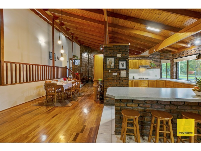 16 Firtree Street, Capalaba QLD 4157