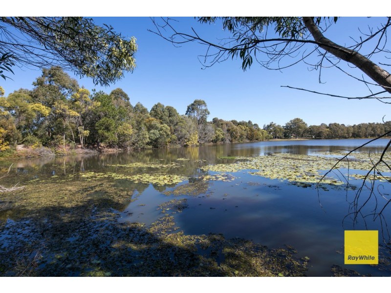 47 Margery Street, Thornlands QLD 4164