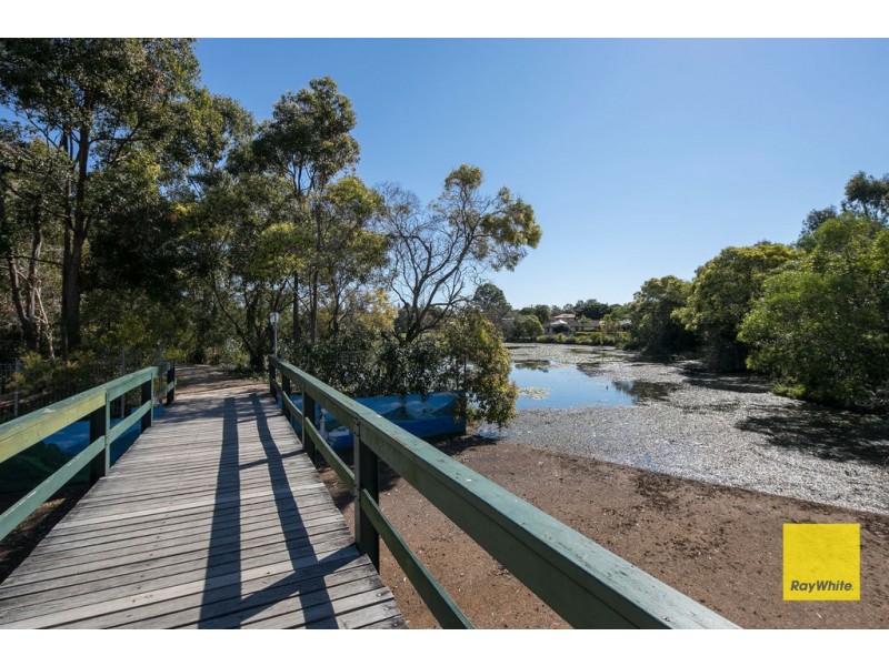 47 Margery Street, Thornlands QLD 4164