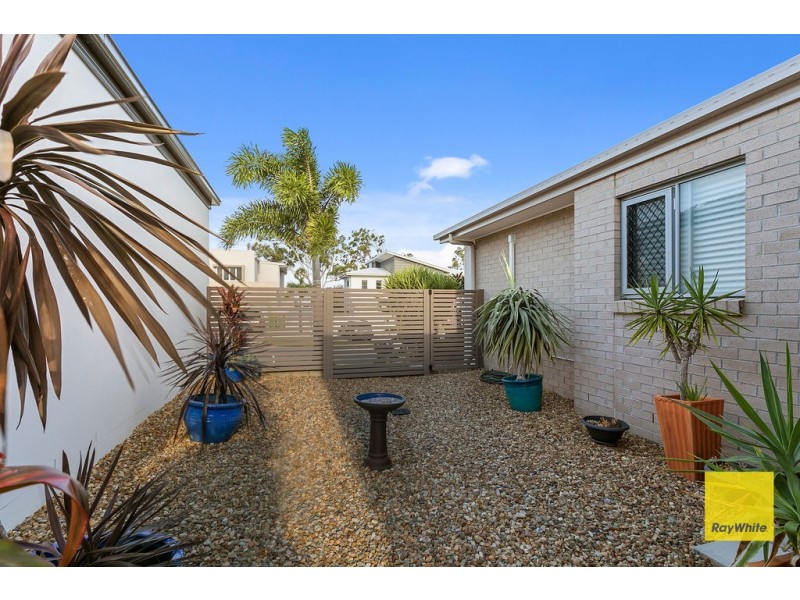 32 Ronnie Street, Cleveland QLD 4163