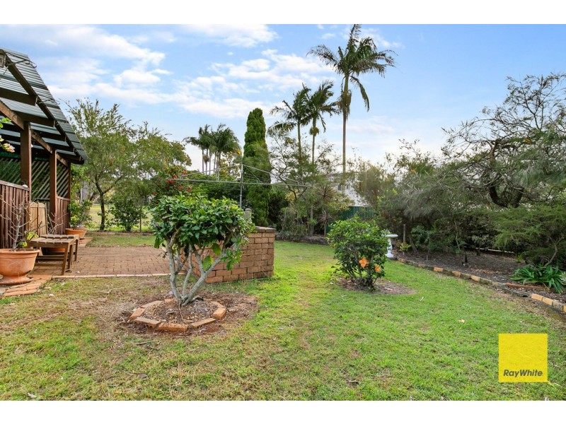 42 Myra Court, Birkdale QLD 4159