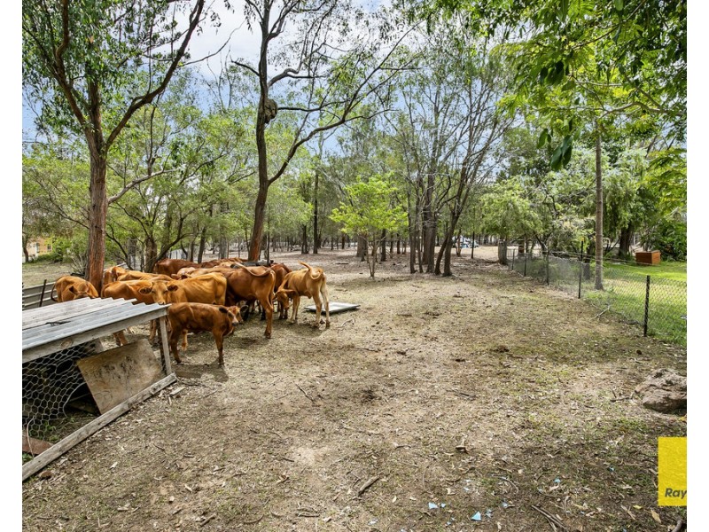 733 Mount Cotton Road, Sheldon QLD 4157