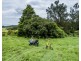 58 Collaroy Rd, Guanaba QLD 4210