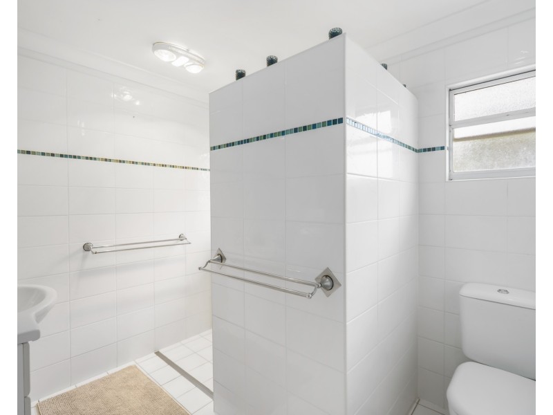 3 Parakeet Street, Birkdale QLD 4159