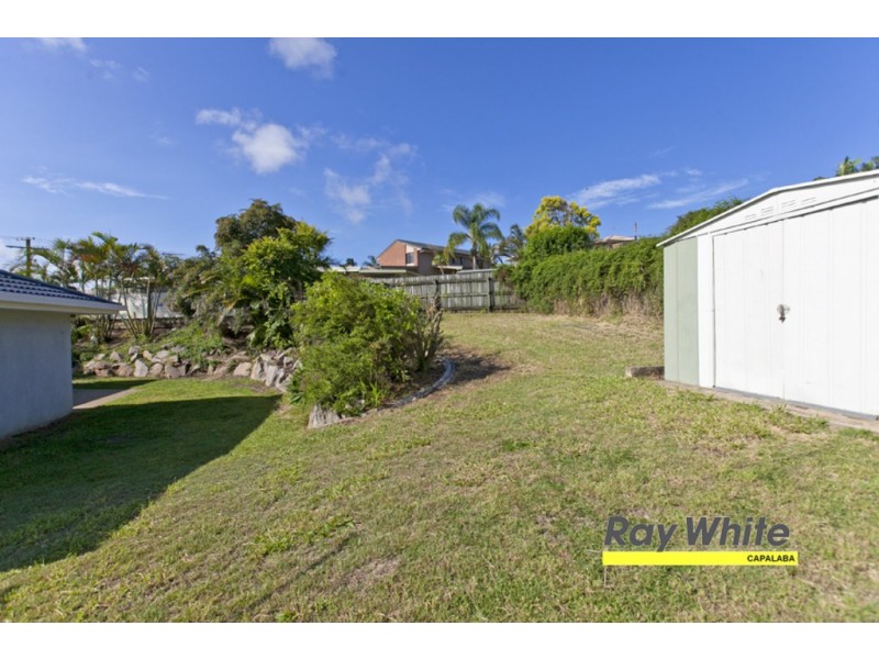19 Randwick Street, Capalaba QLD 4157