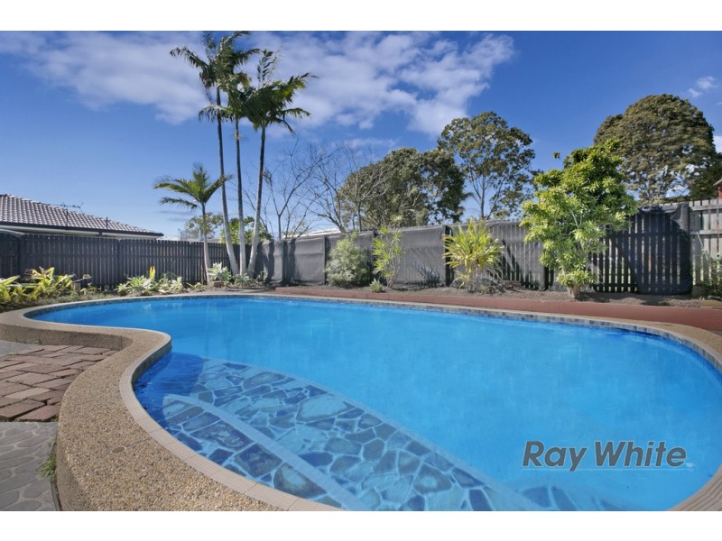 20 Alpinia Street, Alexandra Hills QLD 4161