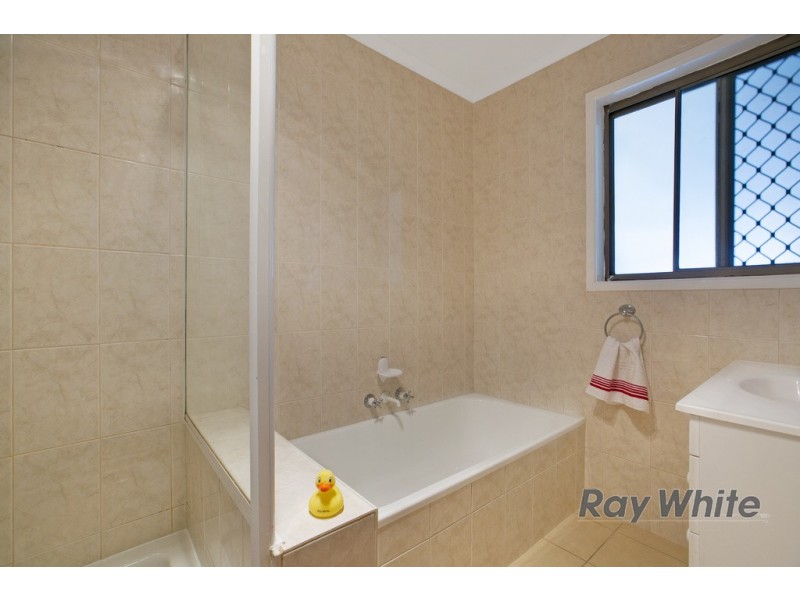 20 Alpinia Street, Alexandra Hills QLD 4161