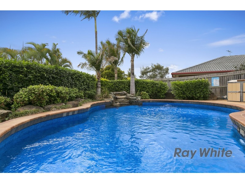 6 Dynasty Court, Alexandra Hills QLD 4161