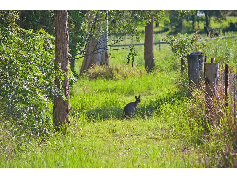 9 Double Jump Road, Redland Bay QLD 4165