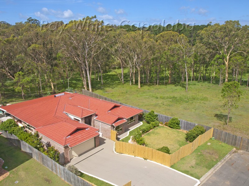 14 Pulbrook Drive, Capalaba QLD 4157