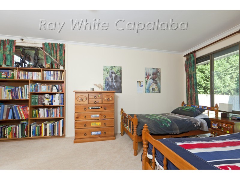 4 Act Court, Alexandra Hills QLD 4161
