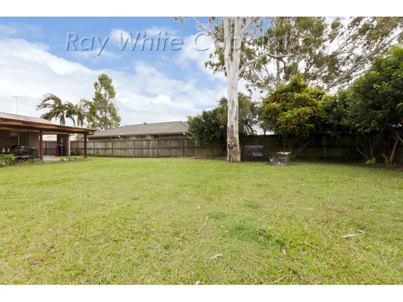 25 Caledonian Crescent, Alexandra Hills QLD 4161