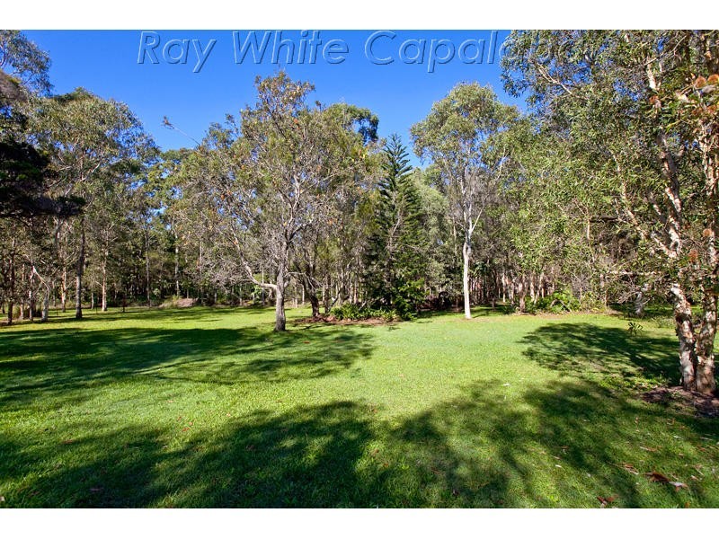 11 Wildflower Street, Capalaba QLD 4157