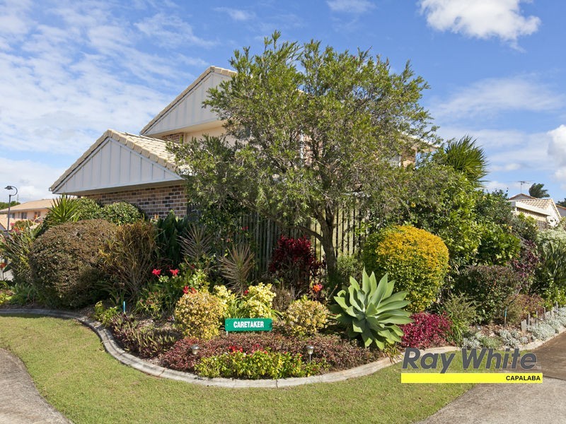 Unit 13, 66 West Freeth Street, Ormiston QLD 4160