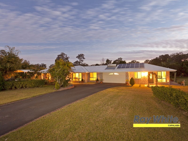 81 Tyberry Street, Chandler QLD 4155