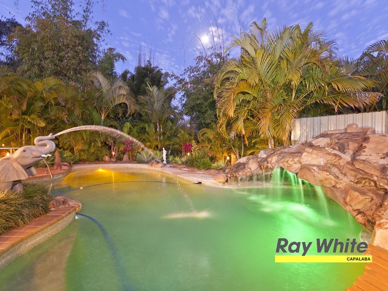 81 Tyberry Street, Chandler QLD 4155