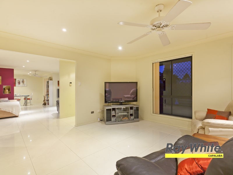 81 Tyberry Street, Chandler QLD 4155