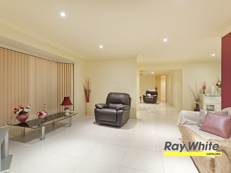 81 Tyberry Street, Chandler QLD 4155