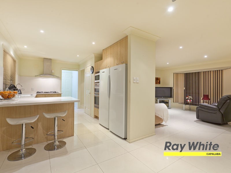 81 Tyberry Street, Chandler QLD 4155